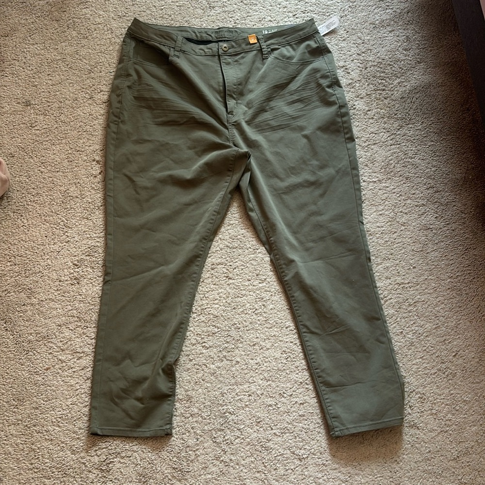 Arizona hi-rise skinny ankle size 19